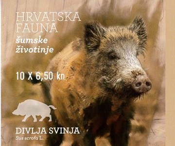 HRVATSKA FAUNA – ŠUMSKE ŽIVOTINJE, DIVLJA SVINJA