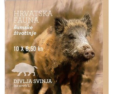 HRVATSKA FAUNA – ŠUMSKE ŽIVOTINJE, DIVLJA SVINJA