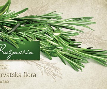 HRVATSKA FLORA - RUŽMARIN