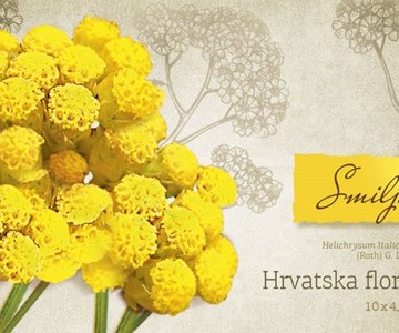 HRVATSKA FLORA - SMILJE