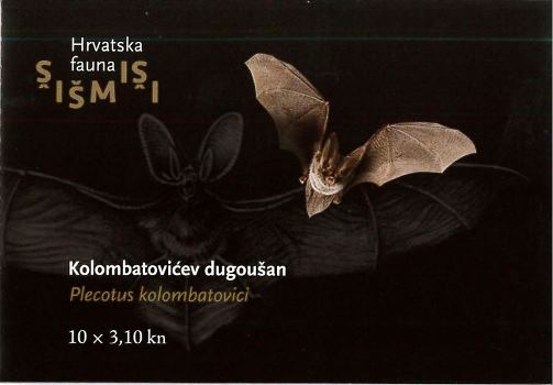HRVATSKA FAUNA - ŠIŠMIŠI, Kolombatovićev dugoušan