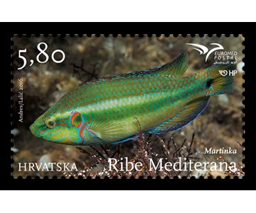PUMed - RIBE MEDITERANA
