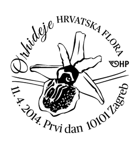 HRVATSKA FLORA – ENDEMIČNE ORHIDEJE 