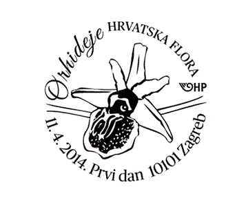 HRVATSKA FLORA – ENDEMIČNE ORHIDEJE 