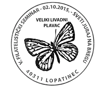 VELIKI LIVADNI PLAVAC
