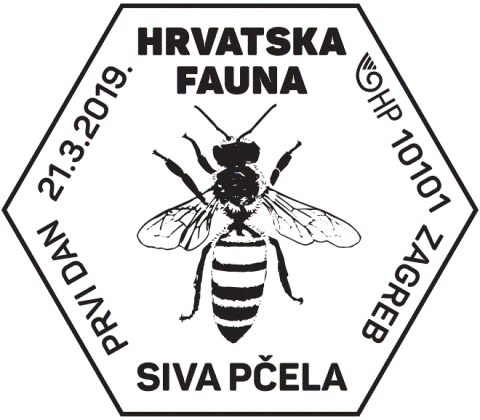 HRVATSKA FAUNA – siva pčela