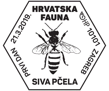 HRVATSKA FAUNA – siva pčela